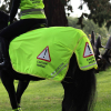 Shires EQUI-FLECTOR® Mesh Exercise Sheet 